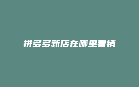 拼多多新店在哪里看销量