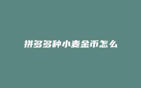 拼多多种小麦金币怎么得