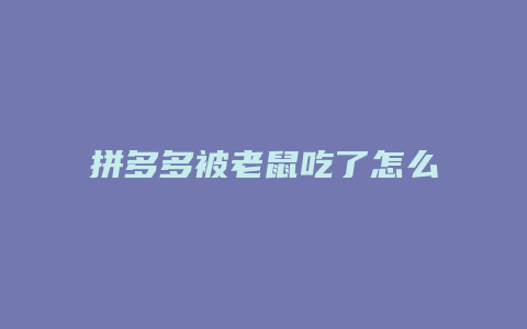 拼多多被老鼠吃了怎么赔偿