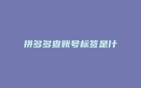 拼多多查账号标签是什么