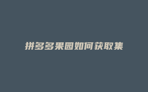 拼多多果园如何获取集水器