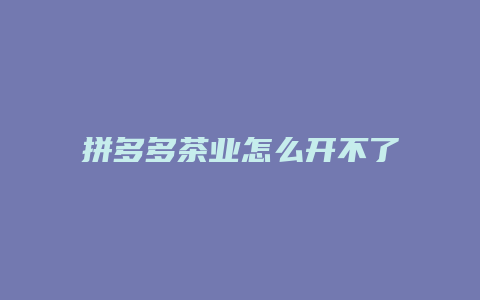 拼多多茶业怎么开不了推广