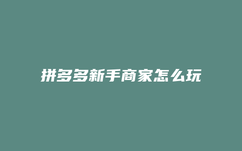 拼多多新手商家怎么玩不了