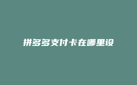 拼多多支付卡在哪里设置