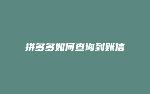 拼多多如何查询到账信息