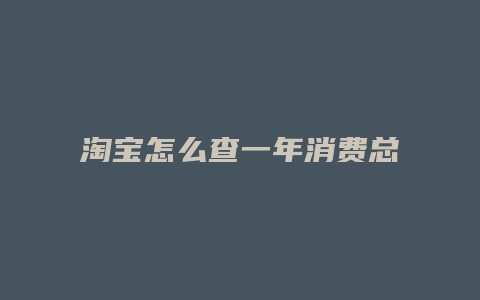 淘宝怎么查一年消费总额