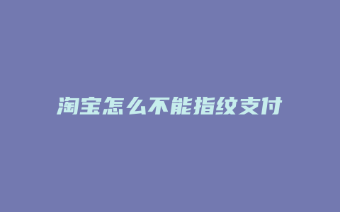 淘宝怎么不能指纹支付