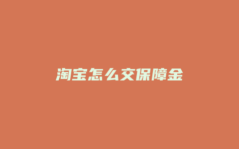 淘宝怎么交保障金